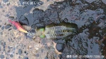 �����ꥤ��