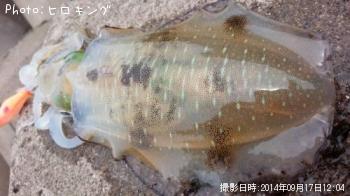 �����ꥤ��