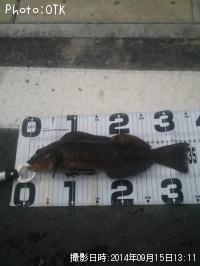 �����ʥ�