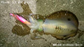 �����ꥤ��