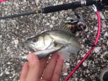 �����Х�