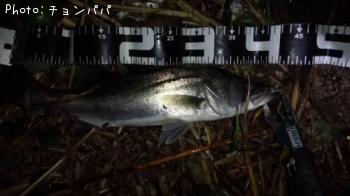 �����Х�