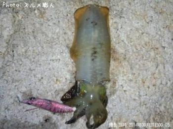 �����ꥤ��