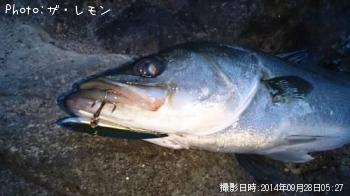 �����Х�