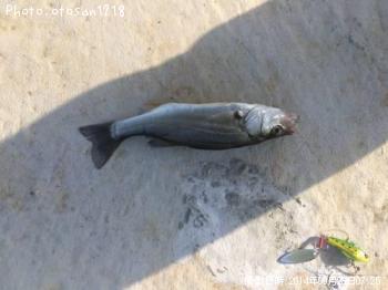 �����Х�