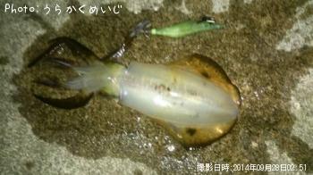 ¥¢¥ª¥ê¥¤¥«