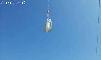 ¥¢¥ª¥ê¥¤¥«