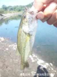 �֥�å��Х�