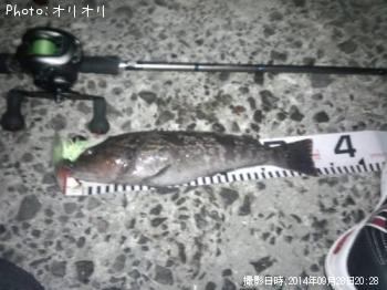 �����ʥ�