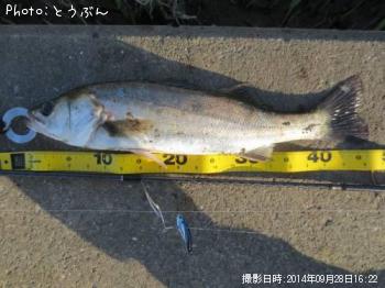 �����Х�