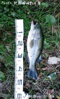 �֥�å��Х�