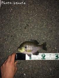 ¥Ö¥ë¡¼¥®¥ë