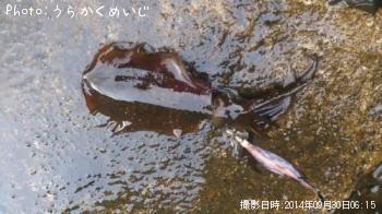 �����ꥤ��