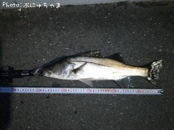 �����Х�