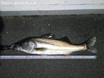 �����Х�