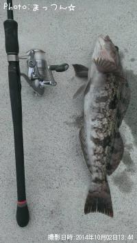 �����ʥ�