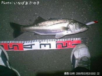 �����Х�