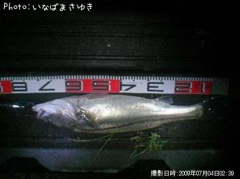 �����Х�