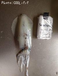 ¥¢¥ª¥ê¥¤¥«