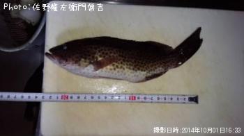 �������ϥ�