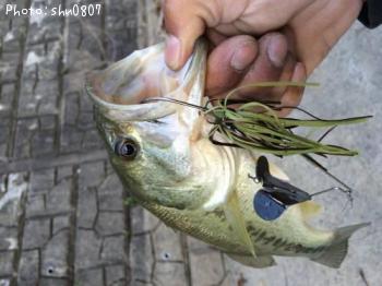 �֥�å��Х�