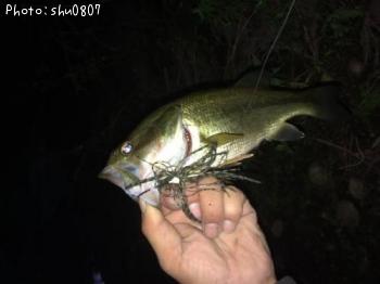 �֥�å��Х�