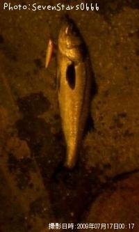 �����Х�