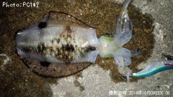 �����ꥤ��