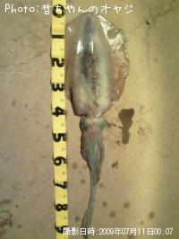 �����ꥤ��