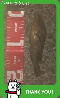 ¡ú¥¥¸¥Ï¥¿¡ú