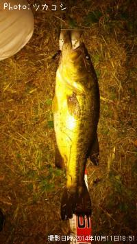 �֥�å��Х�