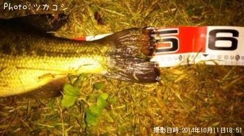 �֥�å��Х�