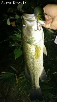 �֥�å��Х�