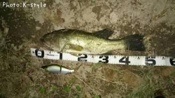 �֥�å��Х�