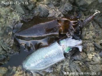 �����ꥤ��