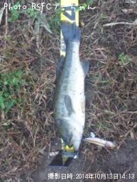 �֥�å��Х�