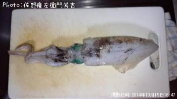 ¥¢¥ª¥ê¥¤¥«