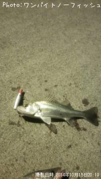 �����Х�