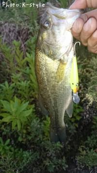 ¥Ö¥é¥Ã¥¯¥Ð¥¹¡¡