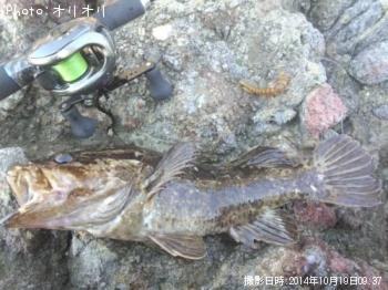 �٥å�������