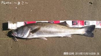 �����ե����Х�