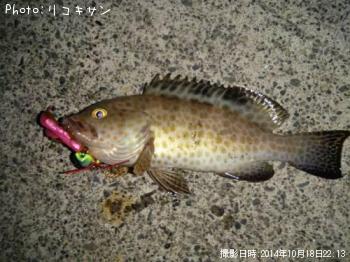 ¥ª¥ª¥â¥ó¥Ï¥¿