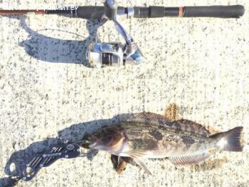 �����ʥ�