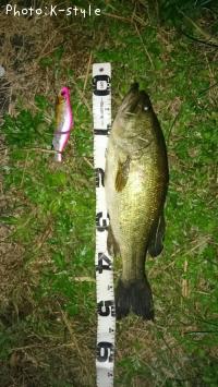 �֥�å��Х���