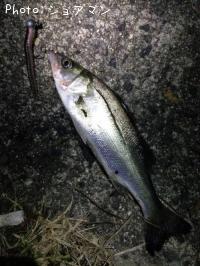 �����Х�