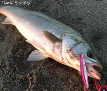 �����Х�