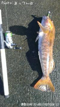 �����ʥ�