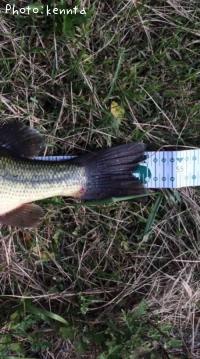 �֥�å��Х�