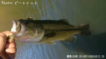 �֥�å��Х�