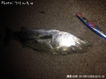 �����Х�